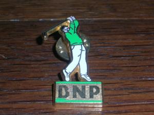 Golf Pin's