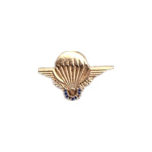 Parachute Pin's