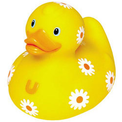 Daisey Duck