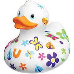 Nice Duck