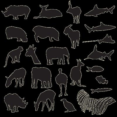 A Animal