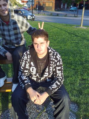 visar