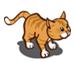 Orange Tabby
