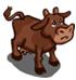 Brown Cow