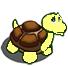 Yellow Turtle