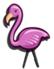 Pink Flamingo