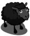 Black Sheep