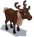Reindeer
