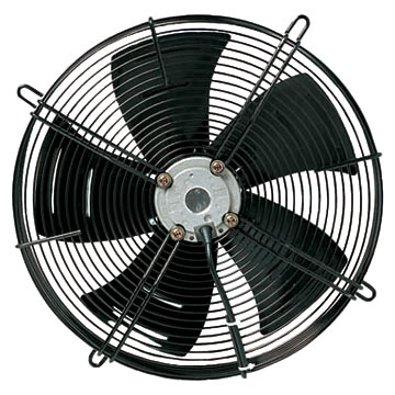 BECOME A FAN!!!!