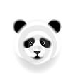 Giant panda head