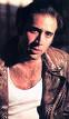 barnyard cage