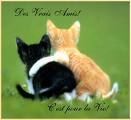 il vous kif carrement !!!