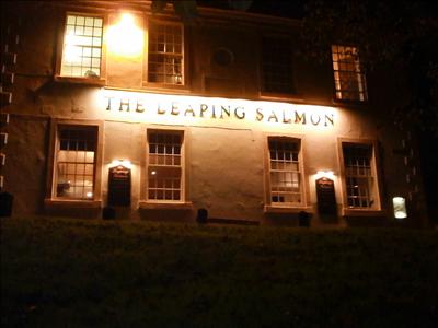 The Leaping Salmon