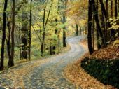 \"The mind of man plans his way, but the LORD directs his steps.\"