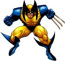 Wolverin