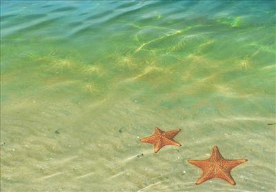 Playa de Las Estrellas, Bocas