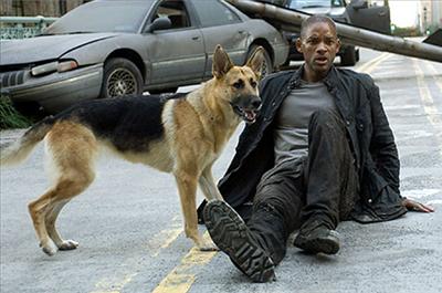 Limited Edition I Am Legend Dog