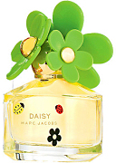 Daisy In a Bloom