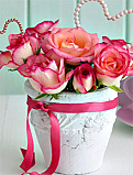 Roses in a vase