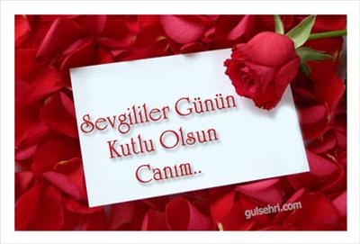SEVGİLİLER GÜNÜN KUTLU OLSUN 