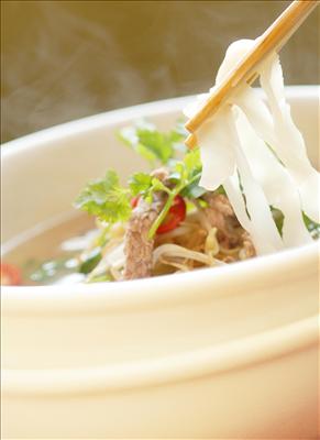 Vietnamese Beef Noodle