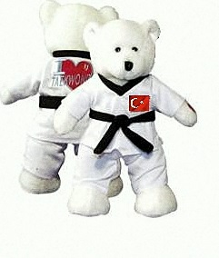 Taekwondo Ayıcığı