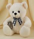 Cute teddy