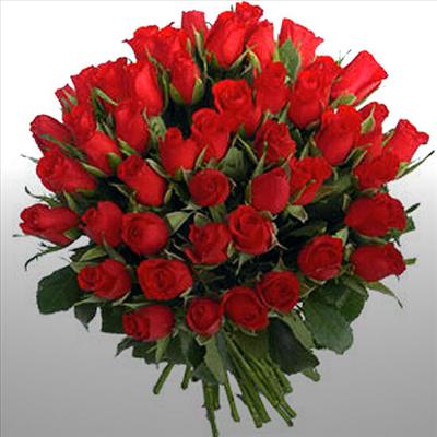 100 Red Roses