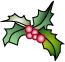Holly