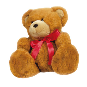 Teddy bear