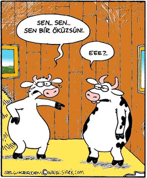 Öküz