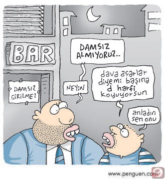 Damsız