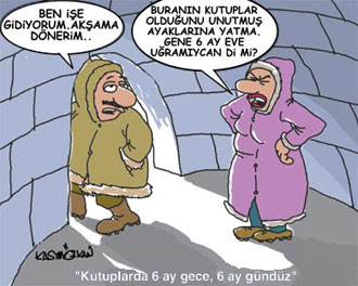Kutup