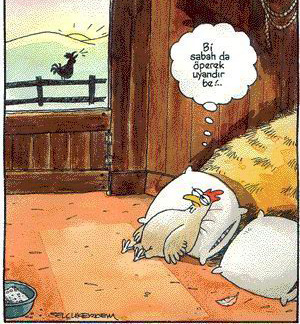 Öp Beni
