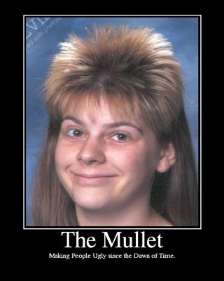 Mullet