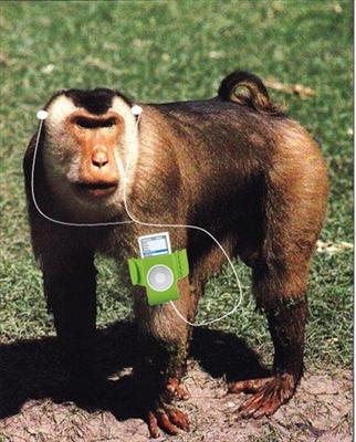 IPOD