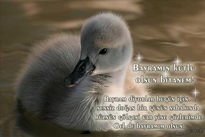 BAYRAM MESAJI