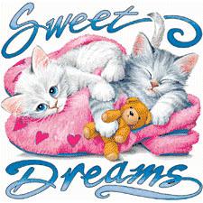 GOOD NİGHT