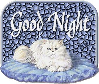GOOD NİGHT