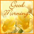 GOOD MORNİNG