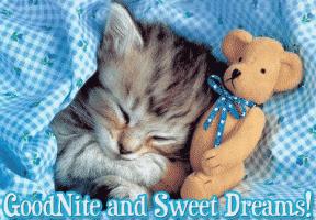 GOOD NİGHT