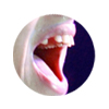 Dental Surgery