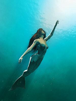 Mermaid (LIMITED)