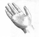 openhanded