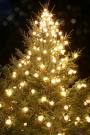 A christmas tree