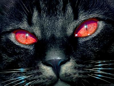 Red Eyed Black Cat (Non-Existant)