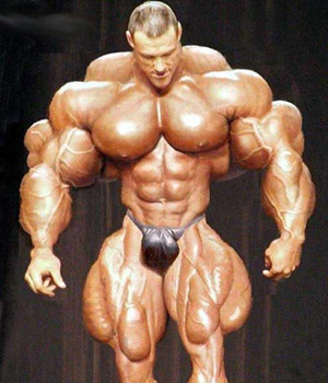 Muscle Freak 