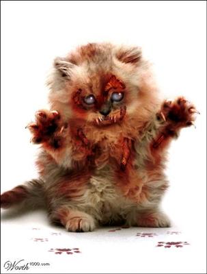 Zombie Cat 