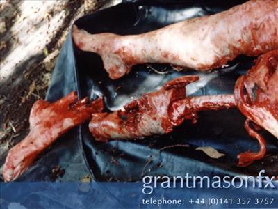 Dismembered Leg