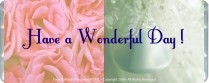 Wonderful day